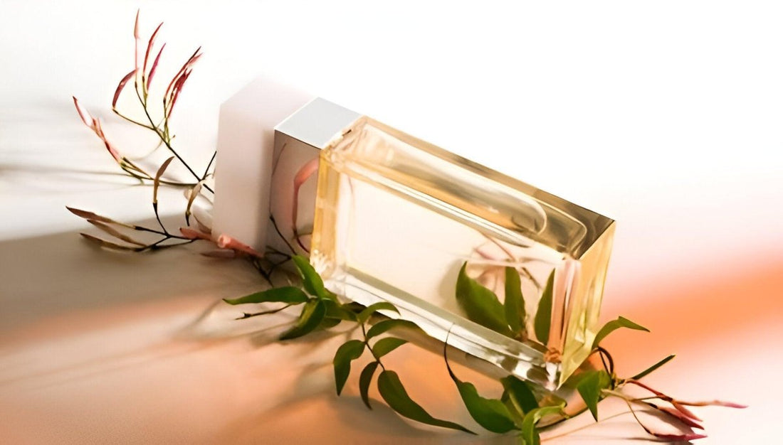 How to Choose Perfect Perfume Bottles for Your New Fragrance Line - Packamor